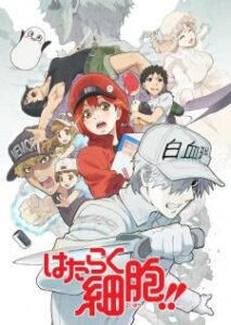 Hataraku Saibou!! เซลล์ขยัน พันธุ์เดือด ภาค 2 เสียงไทย