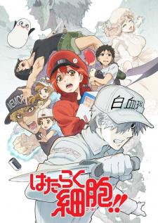 Hataraku Saibou!! เซลล์ขยัน พันธุ์เดือด ภาค 2 เสียงไทย