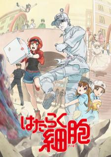 Hataraku Saibou เซลล์ขยัน พันธุ์เดือด ภาค 1 เสียงไทย